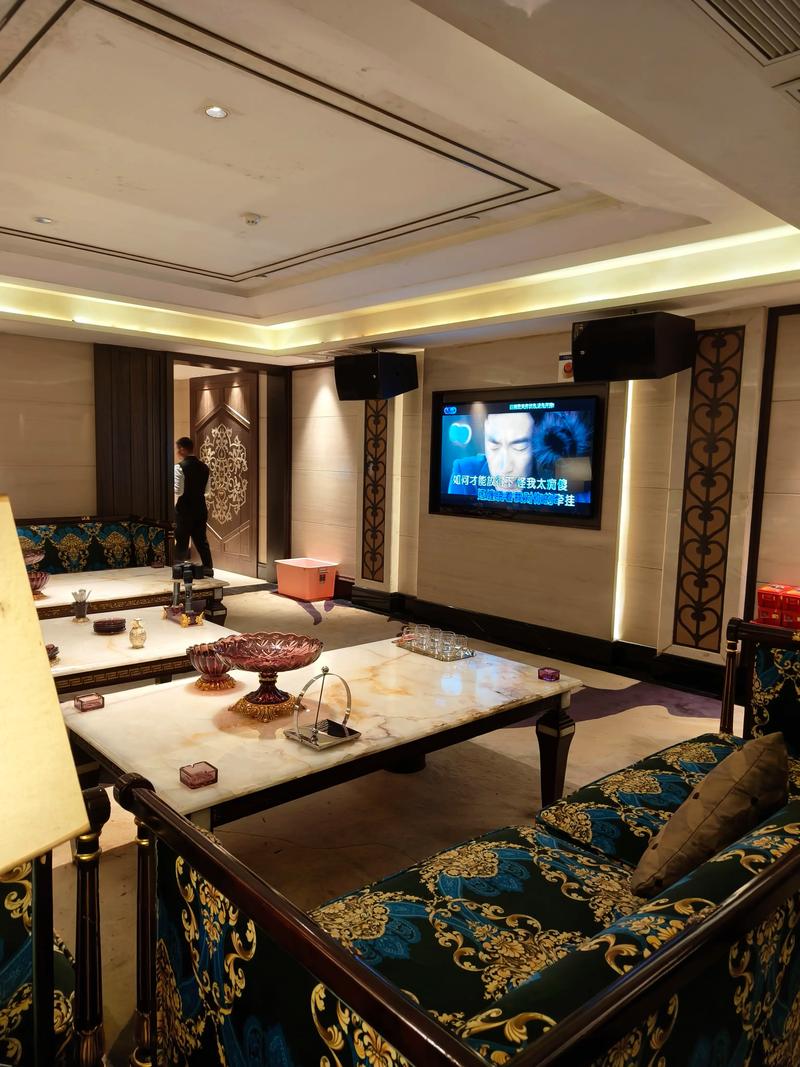 芜湖商务KTV，商务KTV有没有优质场所？-弋江区ktv预定